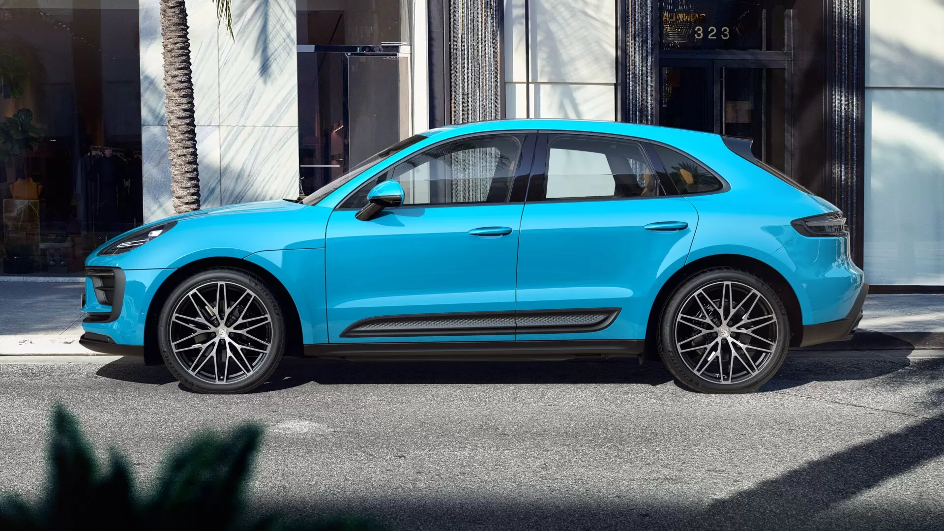 Macan